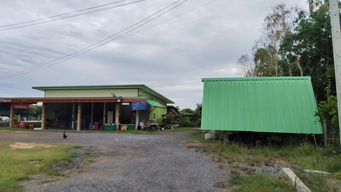 ขายร้านค้ารวมที่ยกแปลงจำนวนสองไร่ ติดถนนที่ทำเลทองเหมาะสำหรับการค้าขาย 4