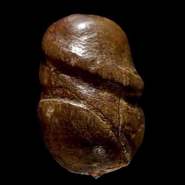 ปลัด ปุ้มปุ้ย เนื้อไม้ จารหมึก เก่า รูปที่ 3