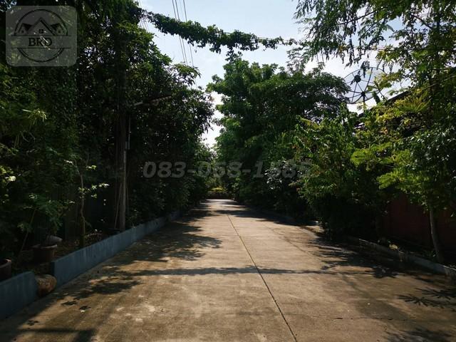 ขายที่ดินทำเลทอง สวนหลวง (เนื้อที่ 1 ไร่ ขาย 45 ล้าน) สวนหลวง กรุงเทพฯ 4