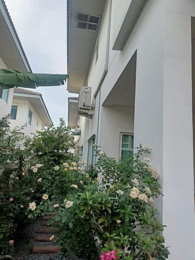 ขายบ้านภัทรีดา วิลล่า ปทุมธานี 2 2