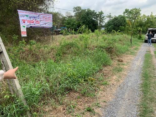 ที่ดินเปล่า 100 ตร.ว. พหลโยธิน87 ซอย6 ต.ประชาธิปัตย์ อ.ธัญบุรี จ.ปทุมธานี