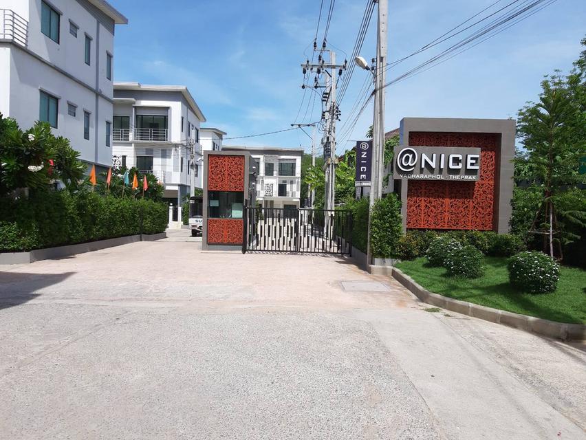 @Nice วัชรพล 9