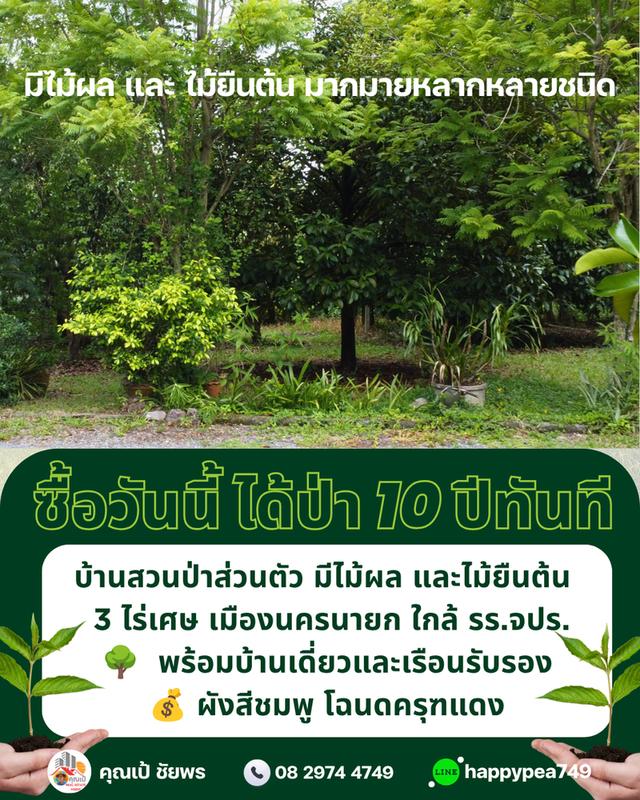 🌳 ที่ดินเมืองนครนายก พรหมณี 3 ไร่เศษ พร้อมบ้านสวนป่าส่วนตัวผังสีชมพู ใกล้ รร.จปร. 11