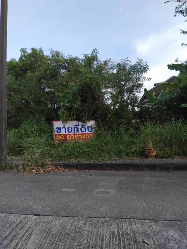 ขายที่ดิน สหกรณ์ออมทรัพย์ครูสงขลา