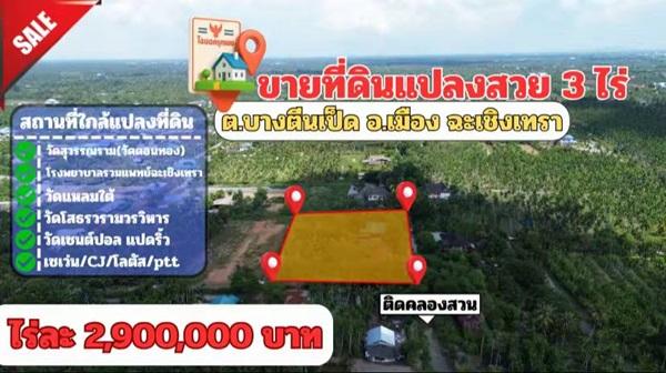 ขายที่ดินแปลงสวย ต.บางตีนเป็ด อ.เมือง จ.ฉะเชิงเทรา เนื้อที่ 3 ไร่ 9 ตร.ว. โทร 081-435-2828 1