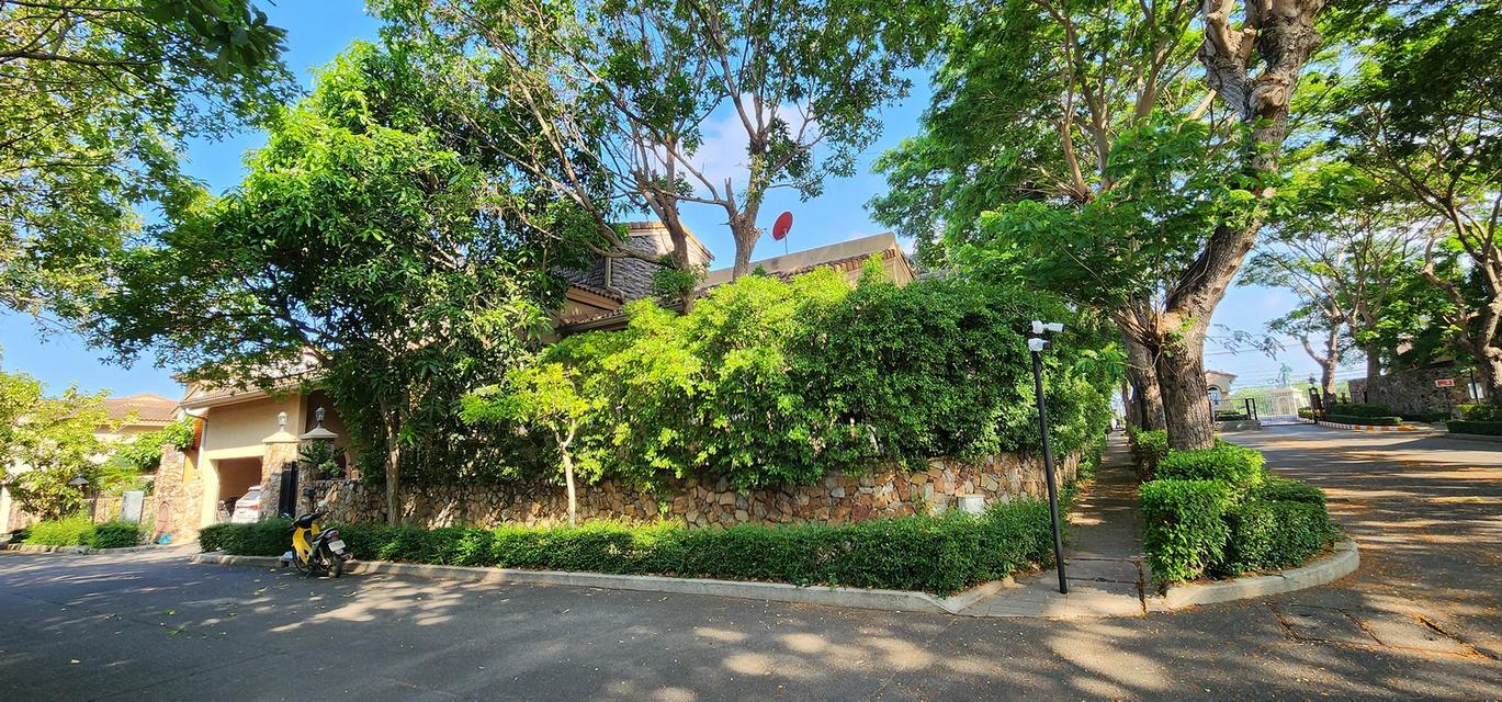 Silk Road Pattaya 12.9 Million 4