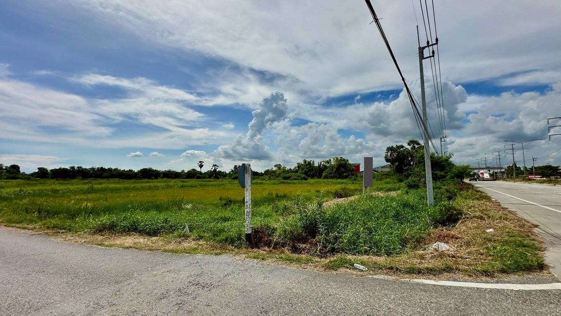 ขายที่ดินเปล่า เนื้อที่ 55-3-36 ไร่ ถนนศุขประยูร ตำบลหนองตีนนก อำเภอบ้านโพธิ์ จังหวัดฉะเชิงเทรา 8