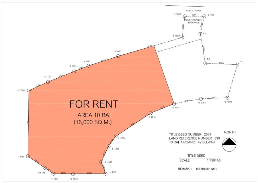 Land for Rent – Prime Location in Phuket! Ideal for Homestay, Restaurants, Café, Spa, Yoga, Boxing Camp, Parking Lot or Warehouse 4
