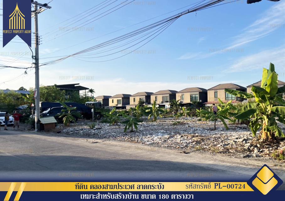 ขายที่ดิน คลองสามประเวศ ลาดกระบัง ขนาด180 ตารางวาเหมาะสร้างบ้านราคาย่อมเยาว์ 1
