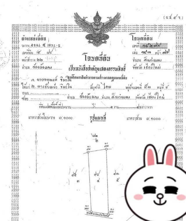 ที่ดินเปล่า 3