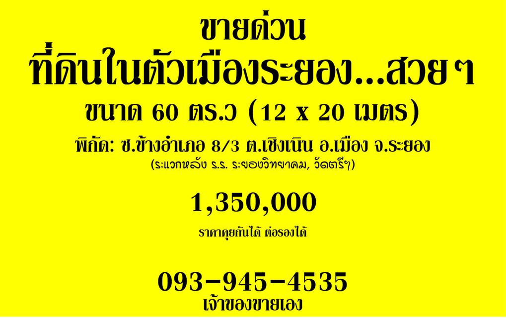 ที่ดินในตัวเมือง จ.ระยอง 1