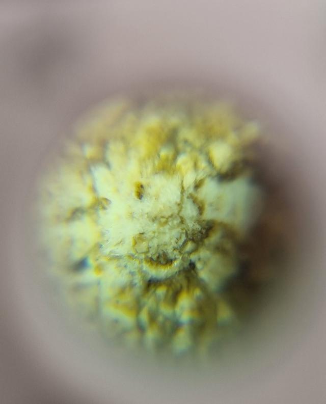 พระสมเด็จ 12