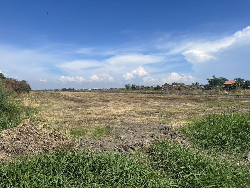 ที่ดินติดถนนลาดกระบัง 2