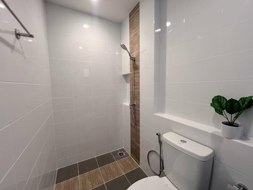 ให้เช่าบ้าน โครงการ Pleno Sukhumvit Bangna2, พร้อมเข้าอยู่ 12