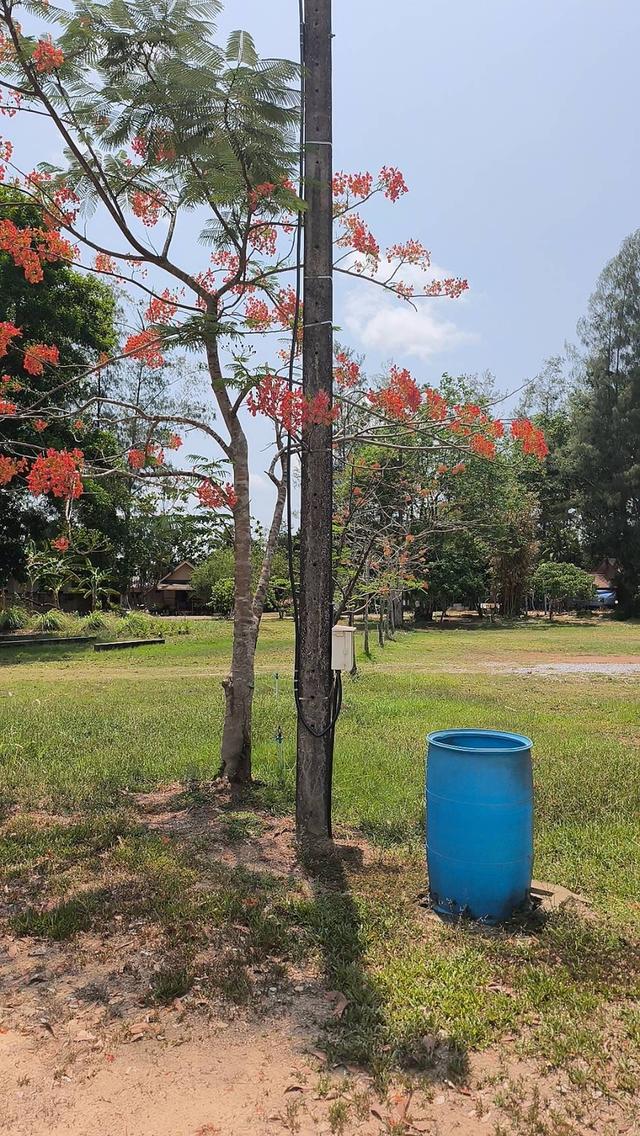 รีสอท จันทบุรี ท่าใหม่ 7