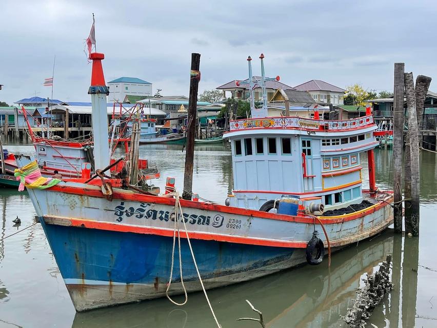 ขายเรือประมงบรรทุกสัตว์น้ำ ขนาด 13.84 ตัน