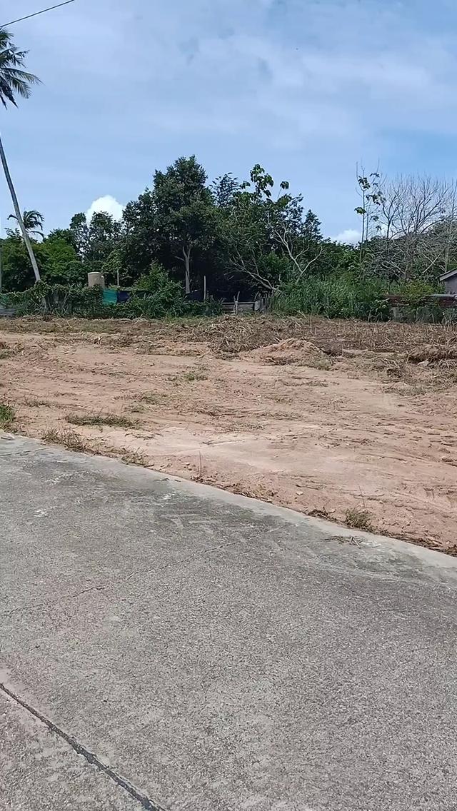 ที่ดินเเปลงสวยเขามะกอก13 พัทยา 6