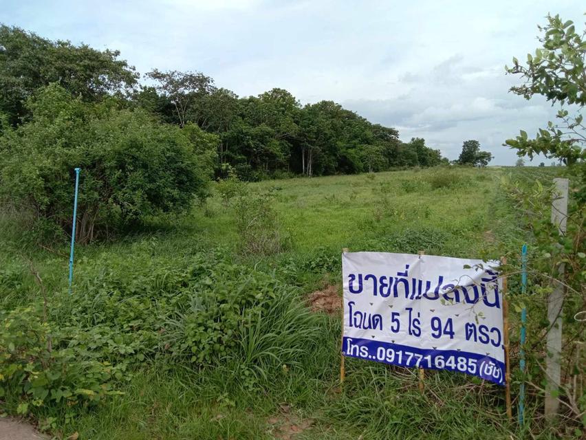 ขายที่โฉนด 5 ไร่ 94 ตรว. ห่างอำเภอเมืองกาญเพียง 20 กม. โทร. 0917716485 4