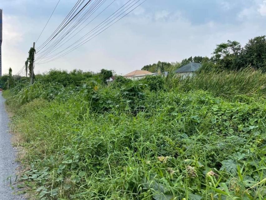 ขาย ที่ดิน ม. สหกรณ์การบินไทย 346 ตรว แจ้งวัฒนะ-ปากเกร็ด 43 เข้าซอยเพียง 350 ม. ใกล้ สถานี เมืองทองธานี 3