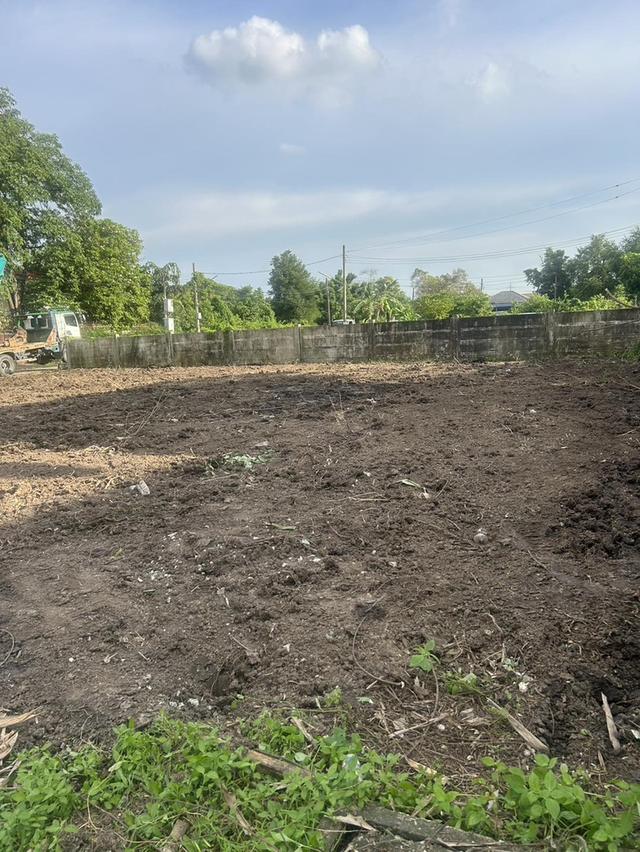 ขายที่ดินเปล่า หมู่บ้านแฮปปี้เพลสพาร์ค (หน้าที่ดินหันทิศเหนือ) 7