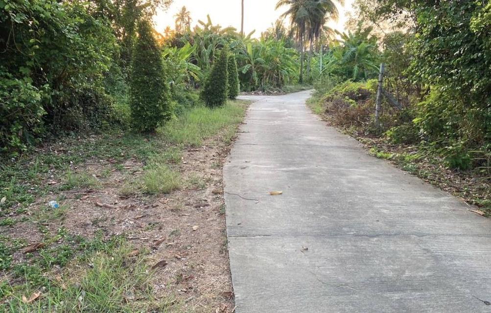 ที่ดิน บ้านพร้อมที่ดิน อ.บ้านลาด จ.เพชรบุรี 9