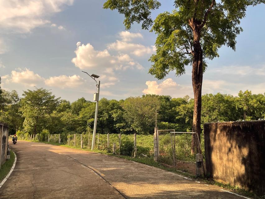 ขายที่ดิน ต.ประจันตคาม  อ.ประจันตคาม จ.ปราจีนบุรี 10 ไร่ 2 งาน 50 ตร.ว น้ำไฟ เข้าถึง มีถนนคอนกรีดตัดผ่านตลอดแนวด้านหน้าที่ดิน **ราคา 4.2 ล้านบาท**  3