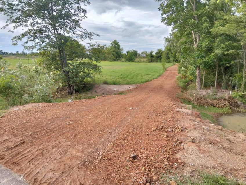 ขายที่ดิน 3 แปลง จังหวัดชัยนาท 15