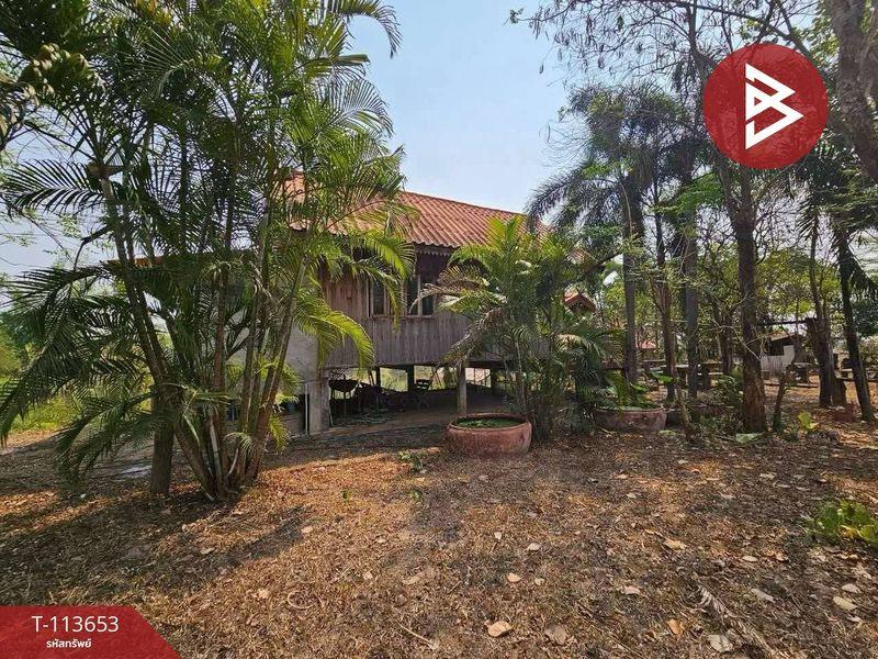 ขายที่ดินพร้อมสิ่งปลูกสร้าง ติดถนนใหญ่ เนื้อที่ 12 ไร่ 2 งาน 79.0 ตารางวา ถนนทางหลวงชนบท ตำบลหมากแข้ง เมืองอุดรธานี 7