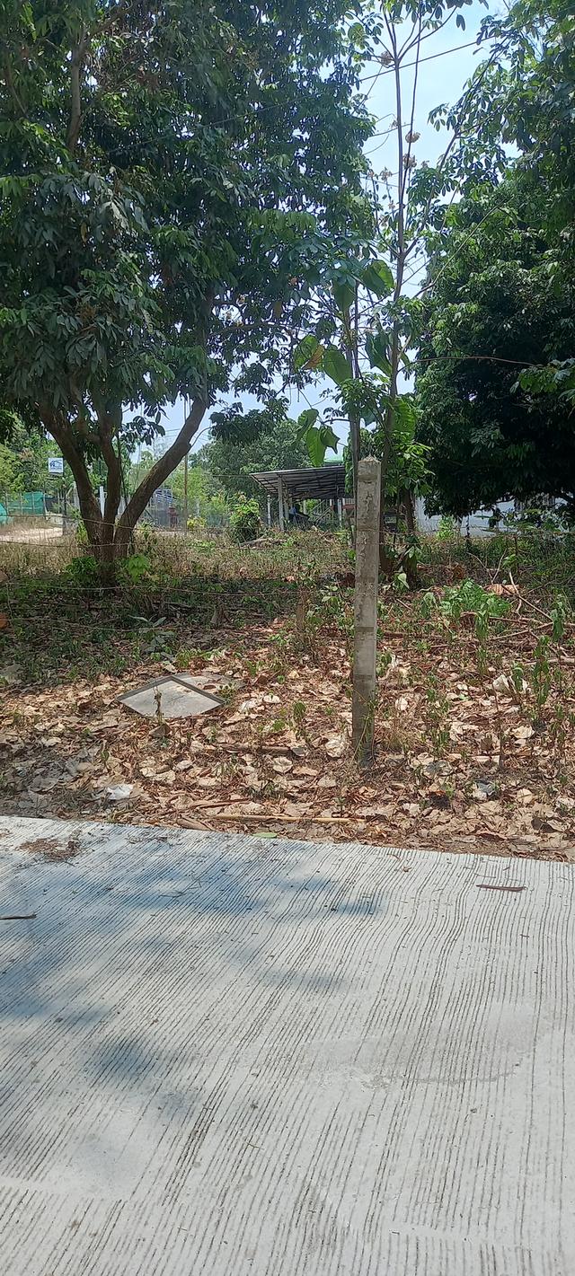 ที่ดินจังหวัดเชียงใหม่ 6
