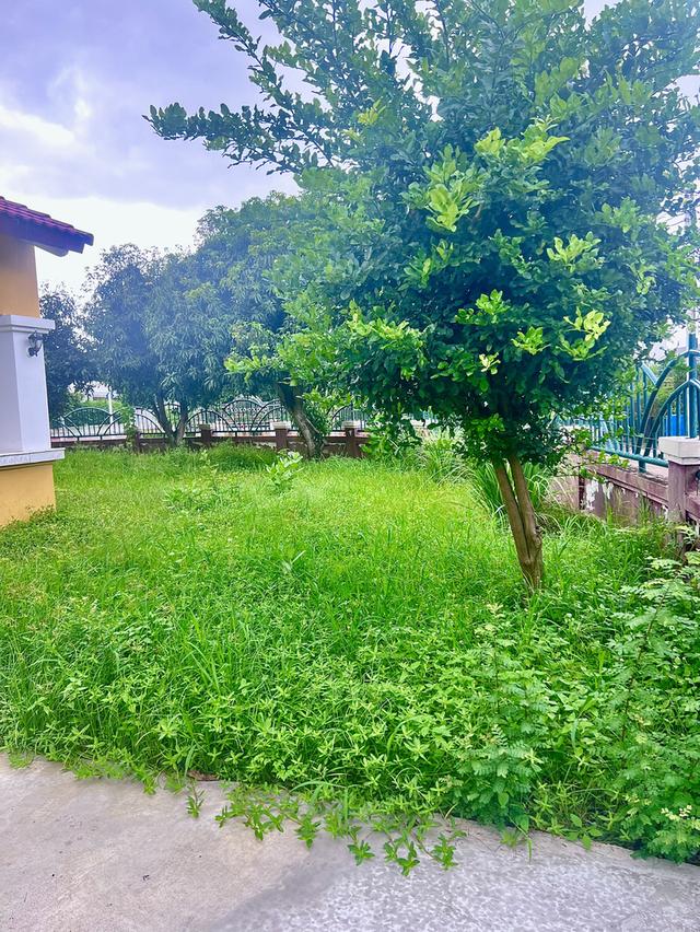 ขายด่วนบ้านเดี่ยว 2 ชั้น หมู่บ้านมัณฑนา คู้บอน 27 แยก 7 5
