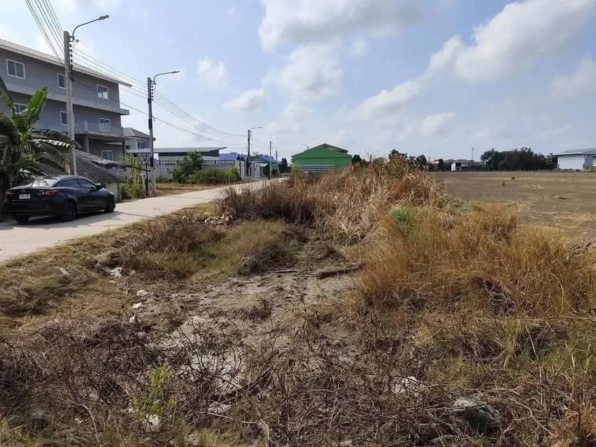 ที่ดิน ซอยสร้อยทอง ประชาอุทิศ90 1