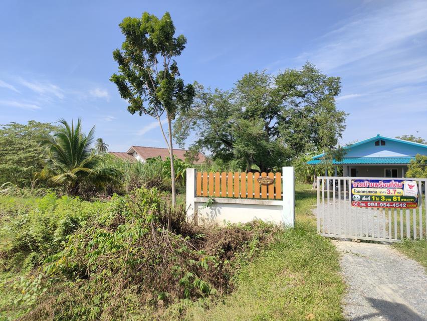 บ้านพร้อมที่ดิน รวม 1ไร่3งาน81ตรว. 2
