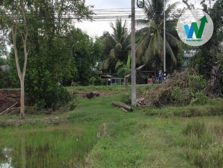 ขายที่ดินเปล่า ตำบลมะกอกเหนือ อำเภอควนขนุน จังหวัดพัทลุง 2