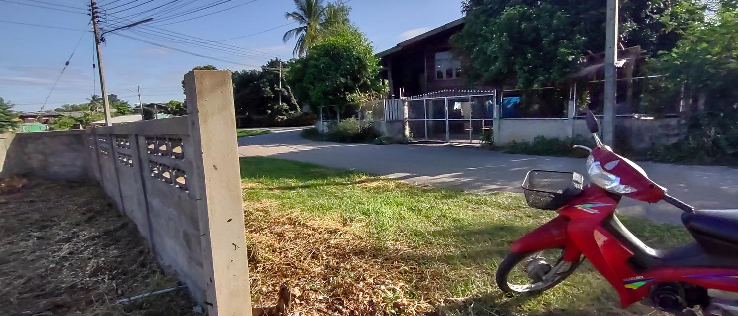 ที่สำหรับสร้างบ้าน 115ตรว 490,000อยู่บ้านนาแก้วตะวันออก ต.นาแส่ง อ.เกาะคา จ.ลำปาง วิวเขา วิวทุ่งนา อยู่กลางชุมชนห่างถนนพหลโยธิน 80เมตร ห่าง7-1 15