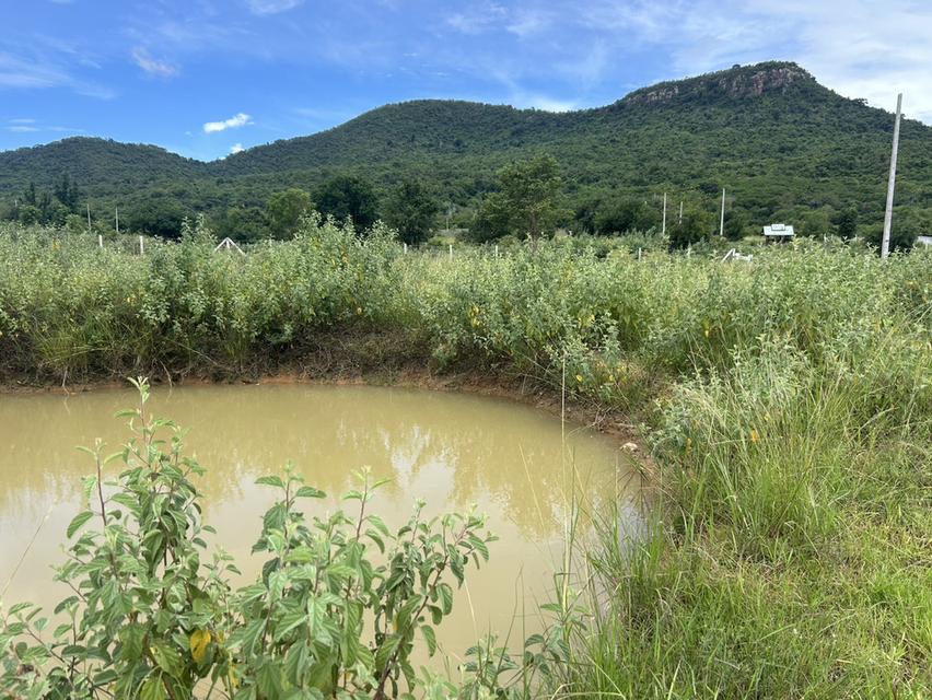 ที่ดิน Valley View แก่งกระจาน  เพชรบุรี สด ผ่อนได้ 6