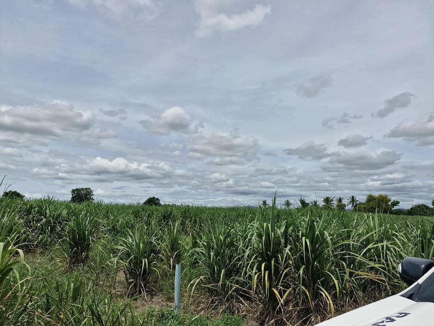 ขายที่ดิน23 ไร่2 งาน25 ตรว ครึ่ง 5