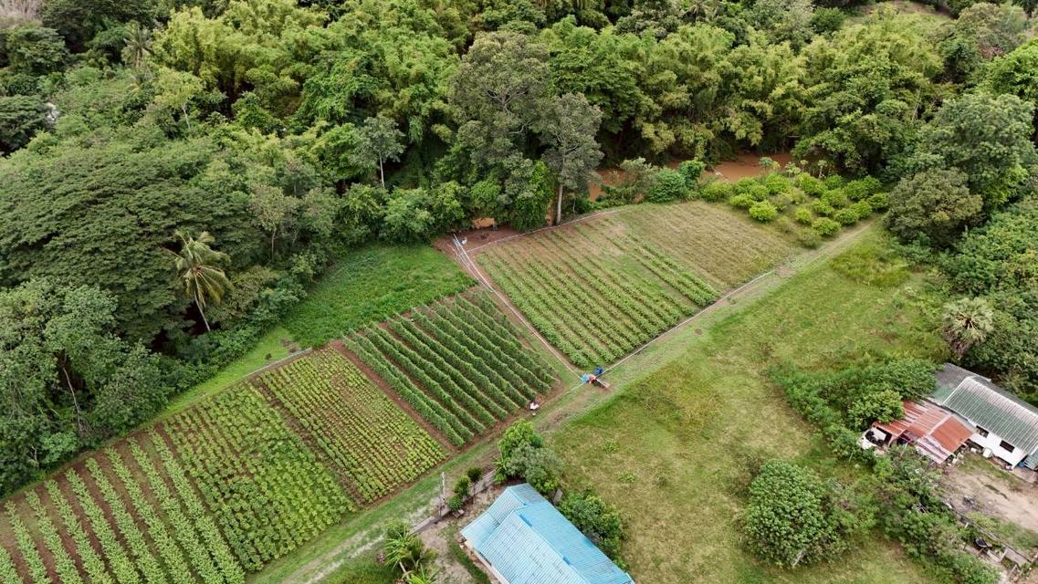 ที่ดินติดริมน้ำวิวเขาปากช่อง.( 3-3-12 ไร่.)( 5,500 บ./ตร.วา )  | ( น.ส.3ก ) หายาก ราคาพิเศษ!!  9