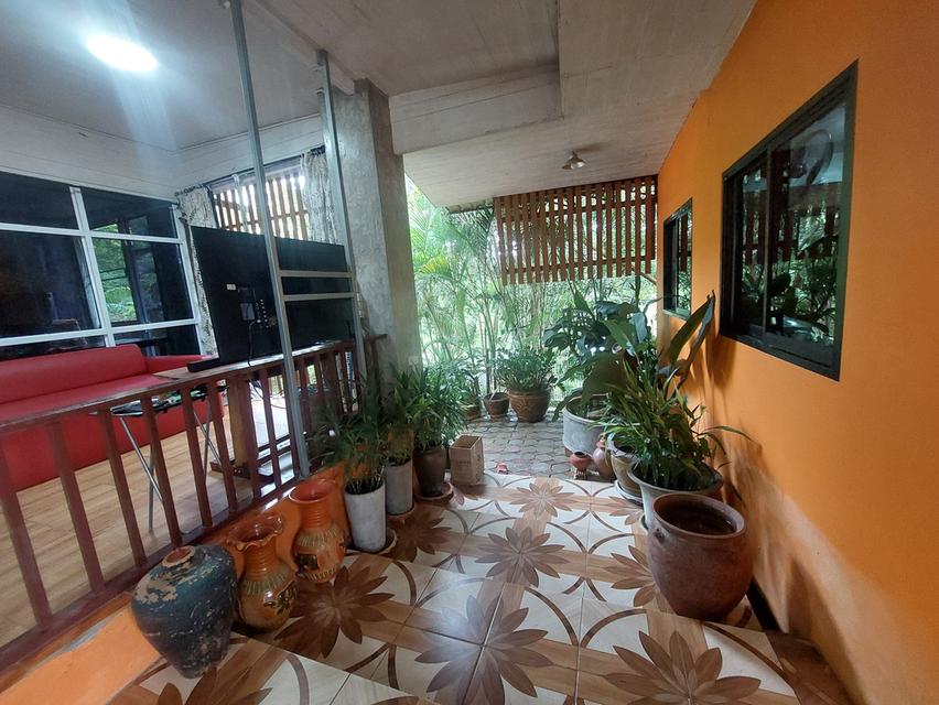 ขายบ้านวิวภูเขาและแม่น้ำ 1-2-71ตรวขาย12ล้าน 10
