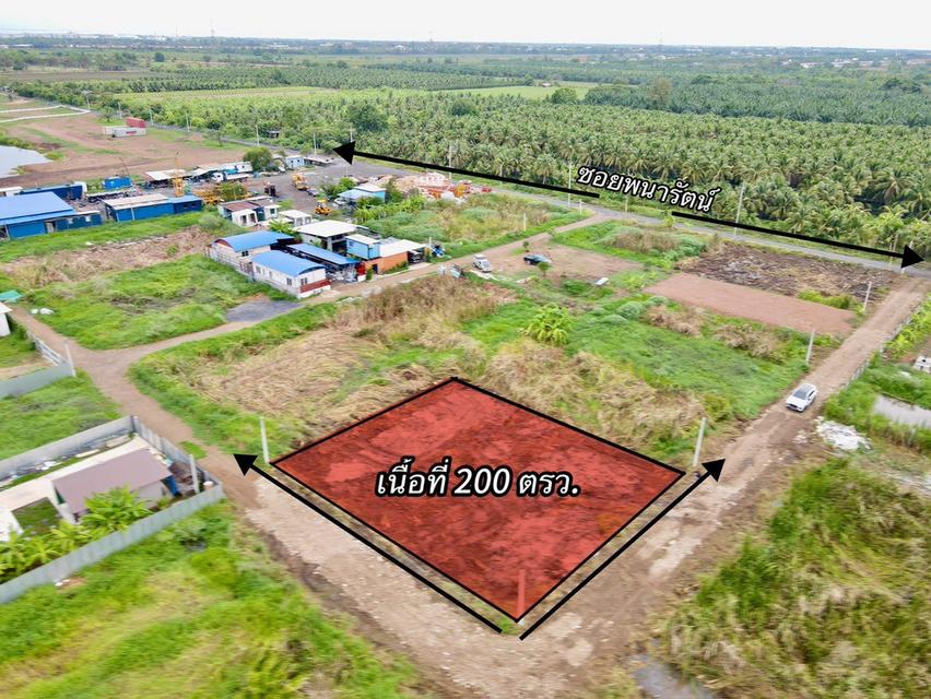 ที่ดินแปลงเล็ก เหมาะทำบ้านพัก ซ.พนารัตน์คลอง 9 อ.หนองเสือ จ.ปทุมธานี 3