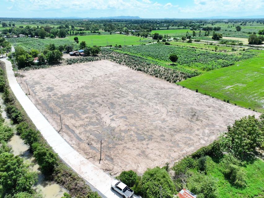 ขายที่ดินแปลงสวย หนองราชวัตร สุพรรณบุรี ราคาเริ่มเพียง 350,000 บาท/ไร่ 8