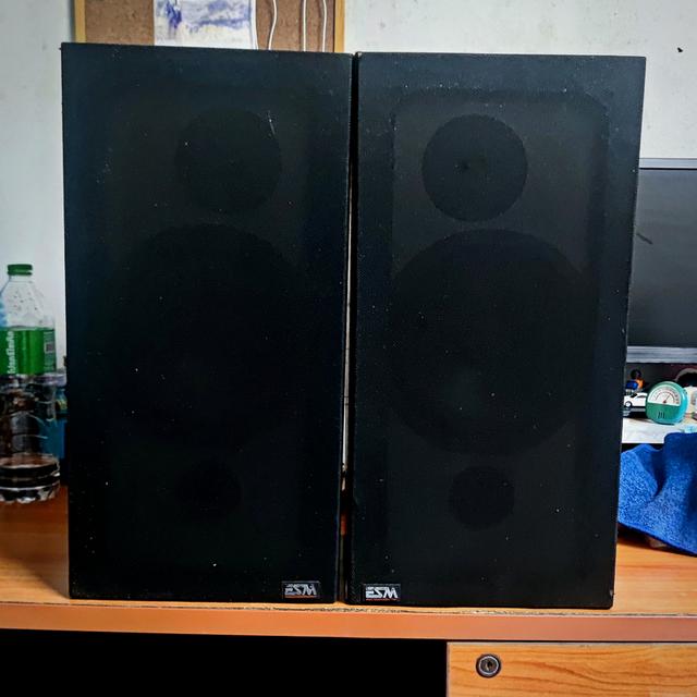 ลำโพง Energy made in Canada