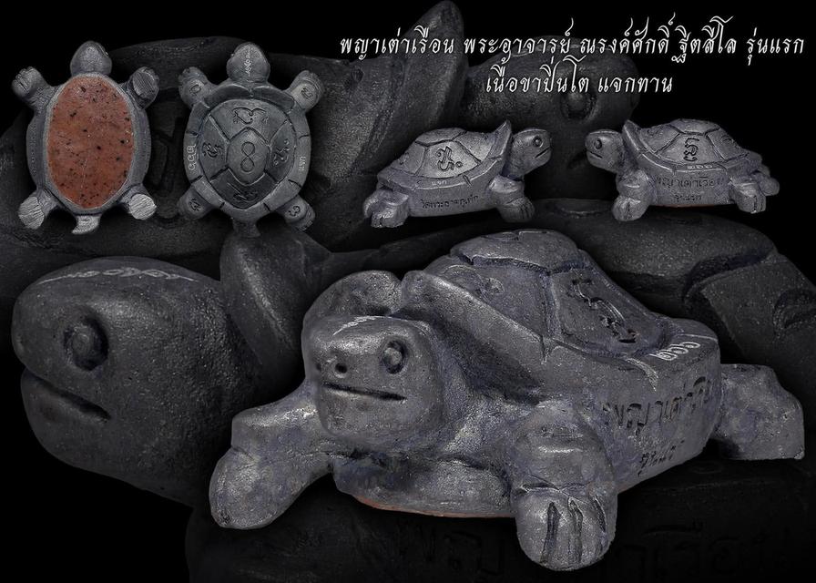 พญาเต่าเรือน ครูบาเเก้ว วัดพระธาตุภูเเพ็ค จ. สกลนคร เนื้อขาปิ่นโต