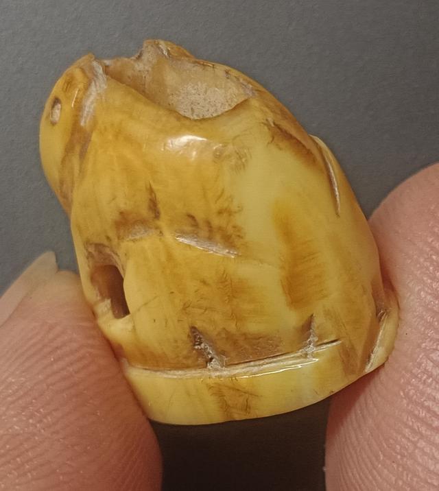 เสือหลวงพ่อปาน วัดบางเหี้ย 3