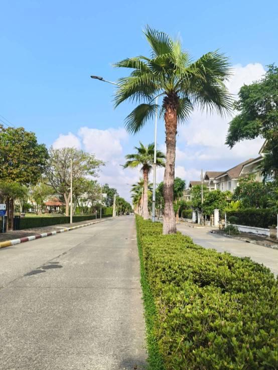 ขายบ้านเดี่ยว โครงการบ้านภัทรา อ่อนนุช-วงแหวน สุขาภิบาล2 ราคาพิเศษ 2