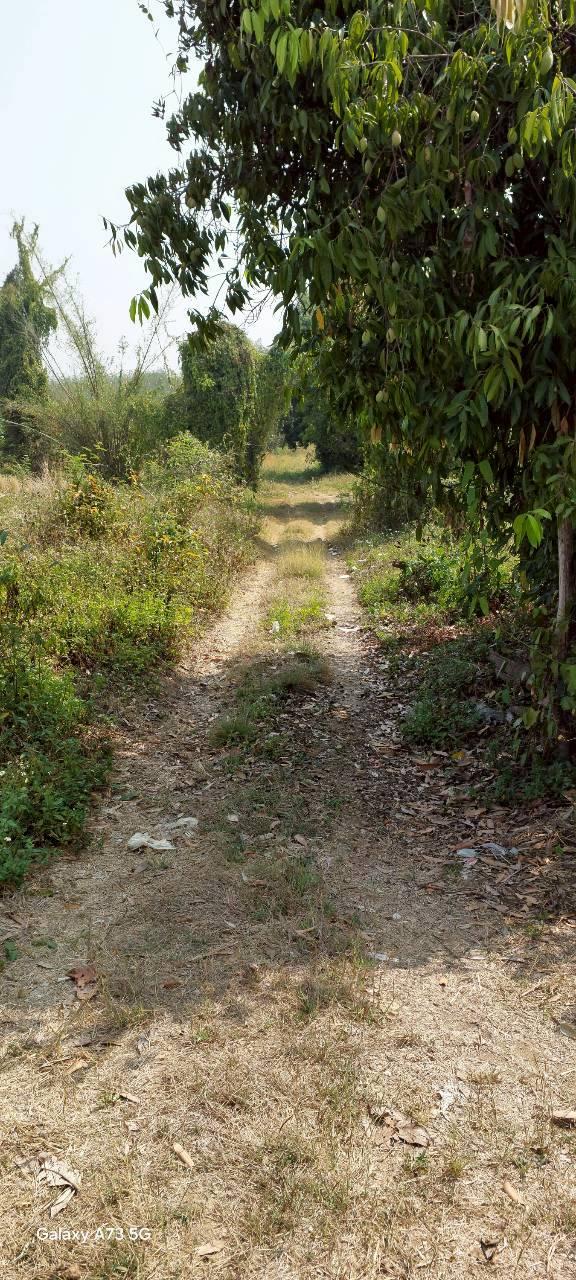 ขายที่ดินเปล่าในจ.ลำพูน ด้านหน้าติดถนนใหญ่ ติดแม่น้ำ พื้นที่สวย ทำเลดี อยู่ในเขตชุมชน ปลอดภัย ห่างจากสถานที่ราชการไม่เกิน 700 เมตร 6