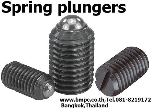 Knob, Clamp lever, Ball plunger, หนอนปลายลูกปืน, locking bolt, Hand wheel, Hoist ring, star grip, index plunger, spring plunger, Revolving handle