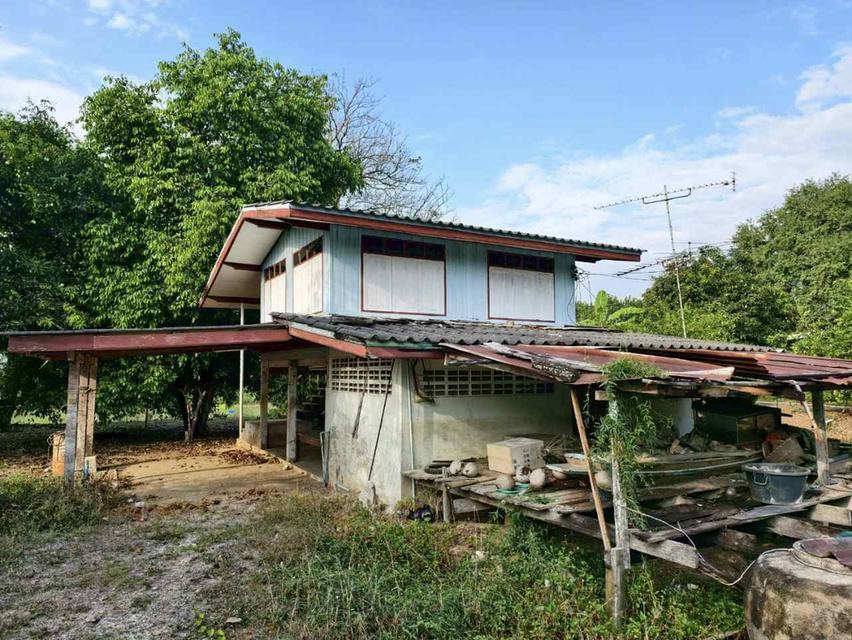 🌿 Land for Sale –Uthai Thani Province 2