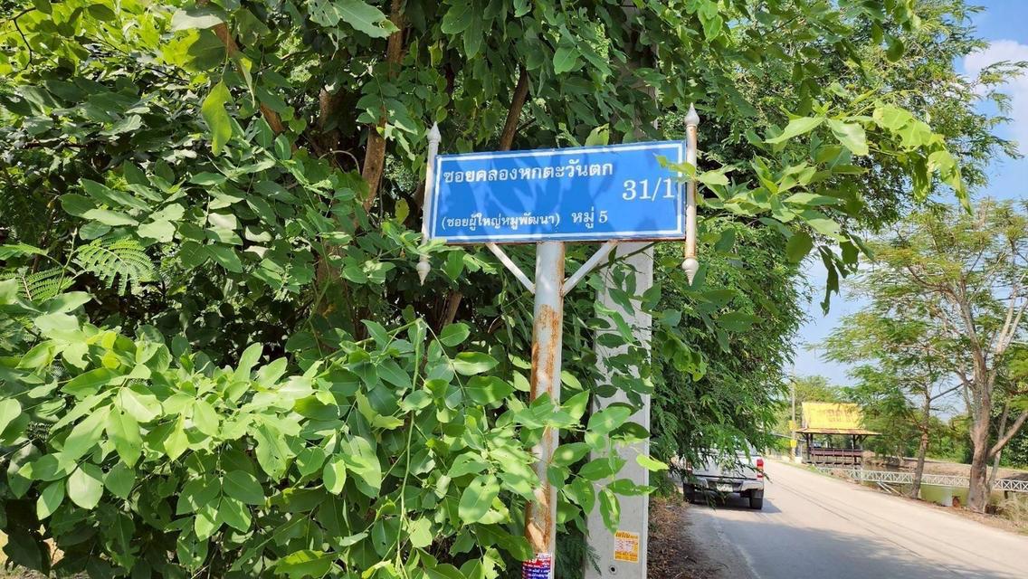 Vายถูกที่ดินคลองหก 520 ตารางวา ติดถนนสาธารณะซอย คลองหก ตต.31/1 อ.คลองหลวง จ.ปทุมธานี 1