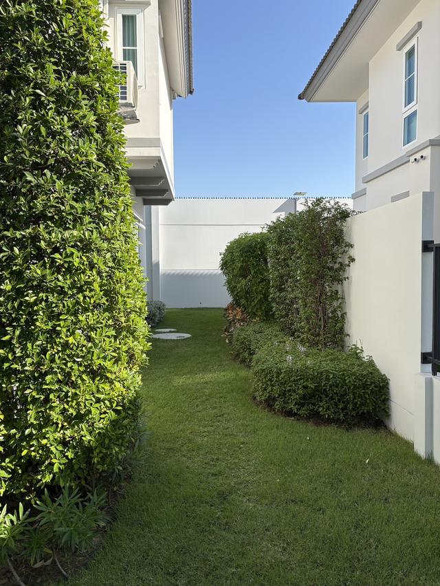 ให้เช่าบ้านเดี่ยว Villaggio 3 ศรีนครินทร์-บางนา (พร้อมเข้าอยู่) 5