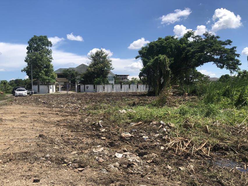 ให้เช่าที่ดินเปล่า 358 ตารางวา 4